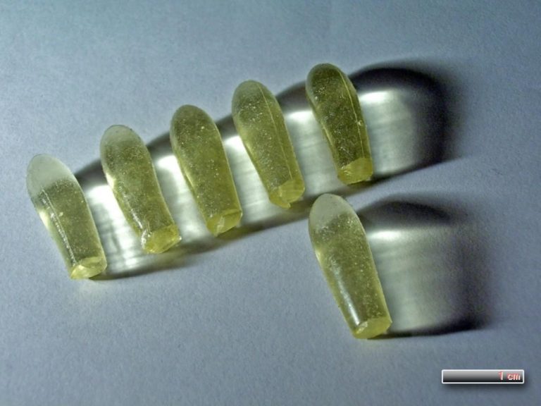 Understanding the Benefits of Suppository for Dogs