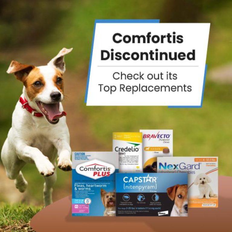 How Does Credelio Work: A Comprehensive Guide