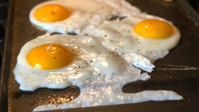 Understanding FDA GFI 256: What You Need to Know