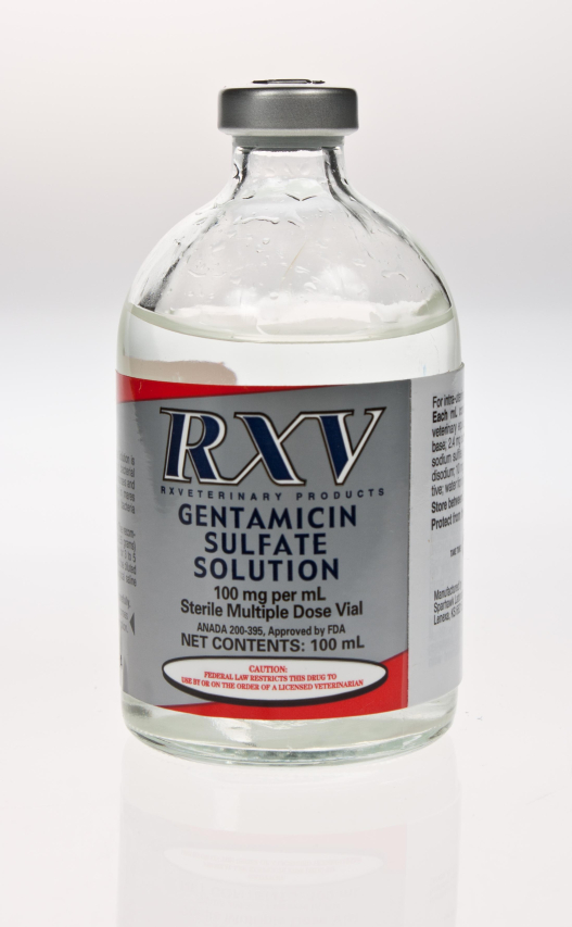 Gentamicin Sulfate Spray: Uses, Benefits, and Application Tips