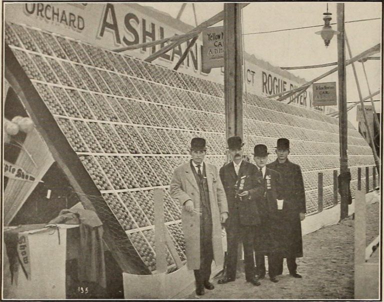 Are Bitter Apple Sprays Safe for Humans? What You Need to Know