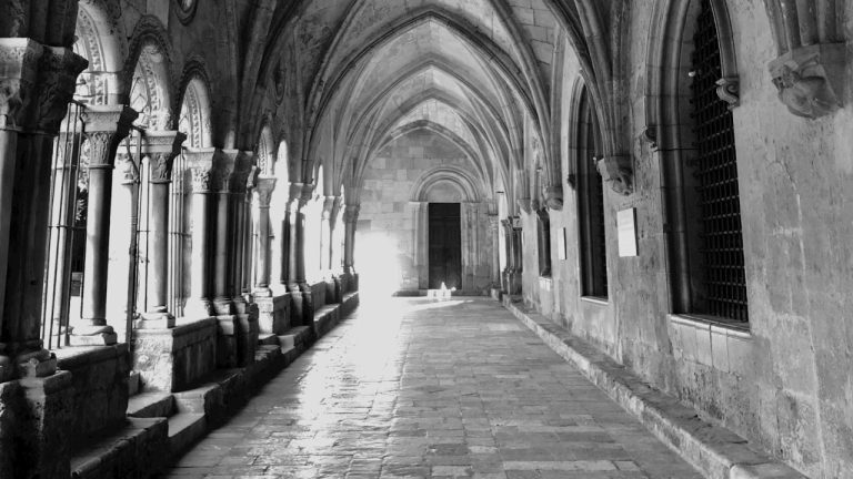 Ultimate Guide to Purevax 3-in-1 Vaccination for Cats