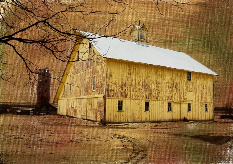 Charming Barn Wedding Attire: Dress To Impress