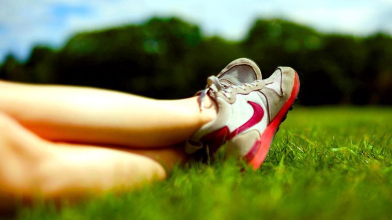 Ridgefield Park Animal Hospital: Honest Reviews & Testimonials