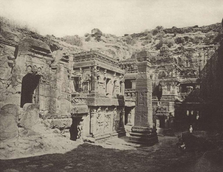 Understanding the Ideal Elura Dose for Cats