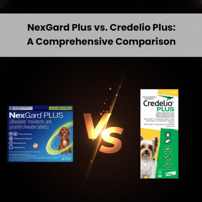 Discover the Benefits of Credelio Chewable Tablets for Cats