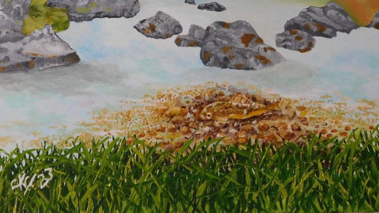 Understanding the Importance of Ascend Lab Check