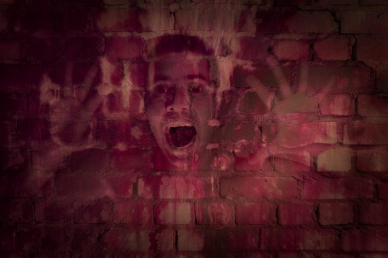 Understanding Ketaset 100 mg/ml: Uses, Dosage, and Side Effects