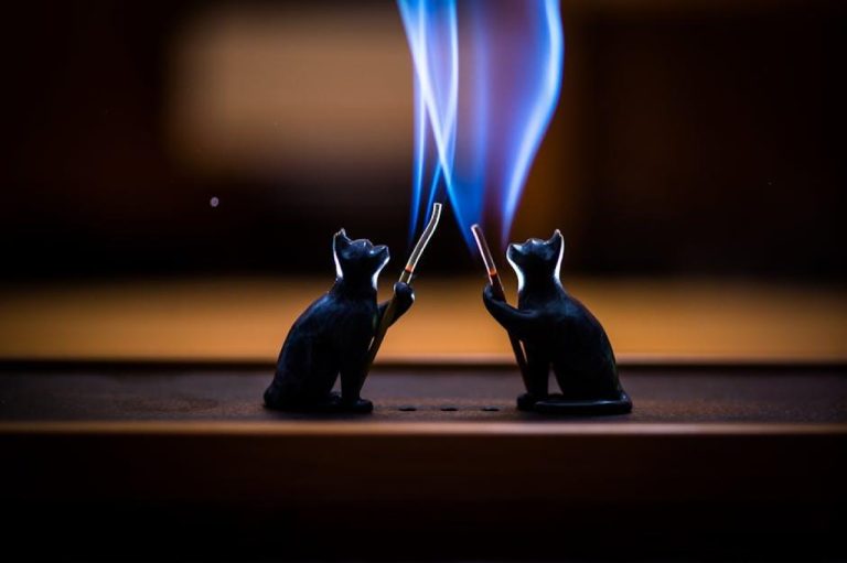 The Potential Side Effects of Sileo for Dogs: What You Need to Know