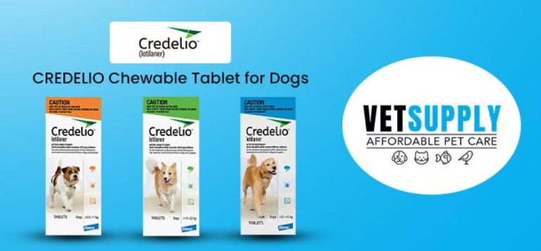 Is Credelio Safe for Cats: What Pet Owners Should Know