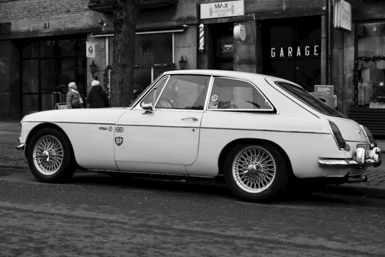 Everything You Need to Know About Capstar 11.4 mg