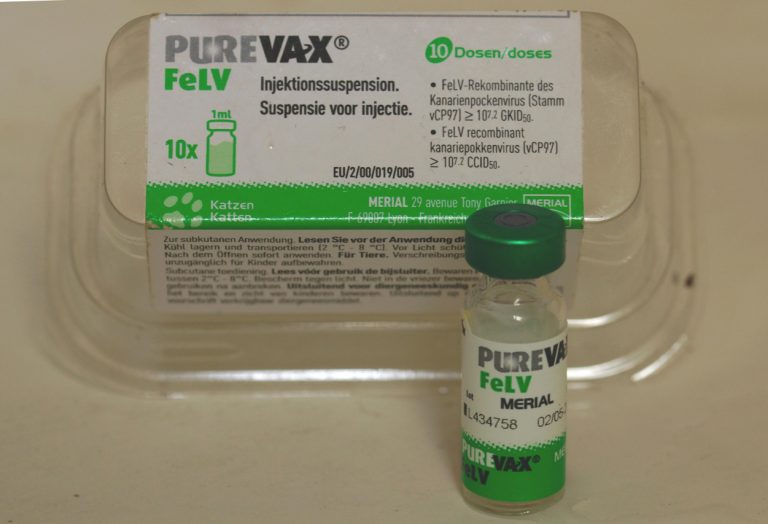 Understanding Purevax for Cats: Benefits and Considerations
