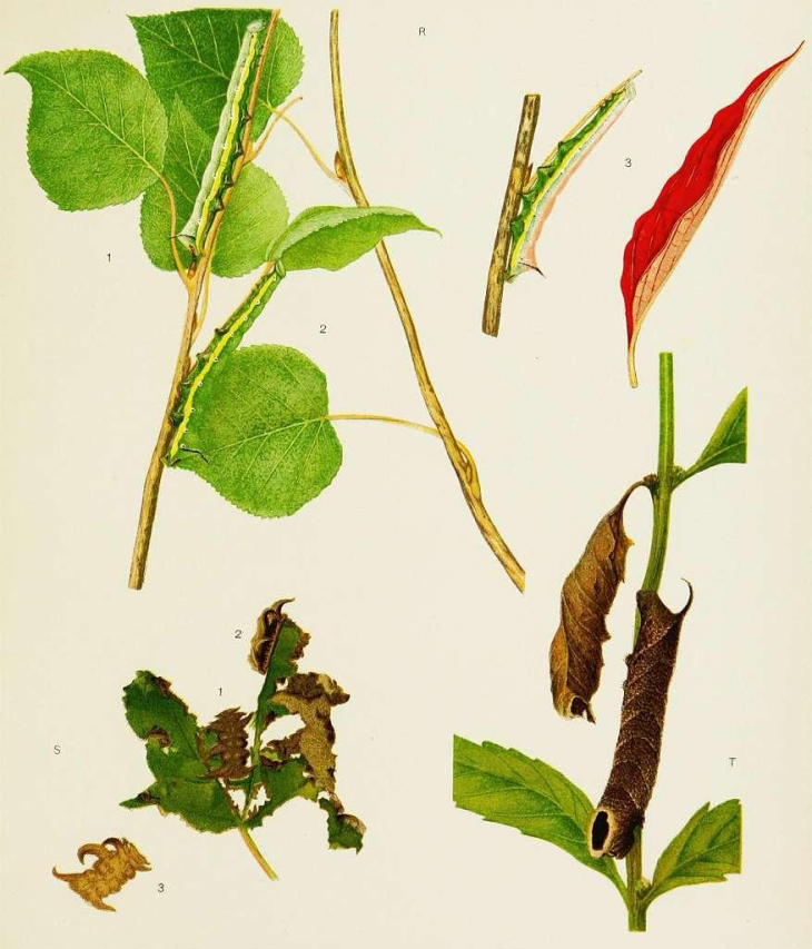 Concealing White Spots on Face with Makeup: Expert Tips