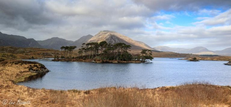 Natural Ways to Achieve a Fresh-Faced Look