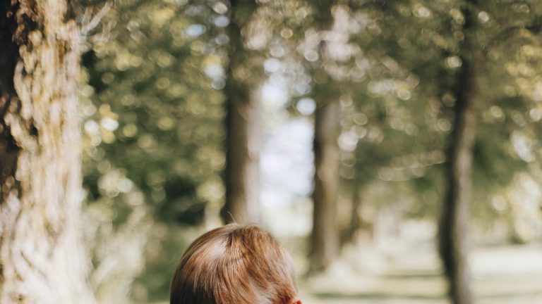 Caring Hands Pet Portal: Your Pet’s Complete Care Solution