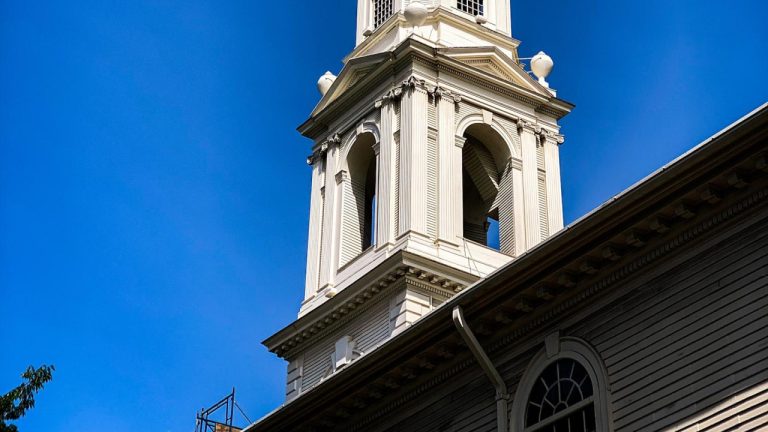 Uncovering the Benefits of Mutt Mixed Breed Dogs