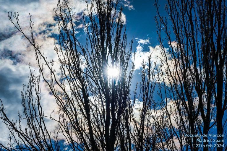 Expert Guide: How to Highlight Your Face with Makeup