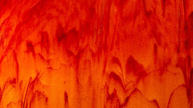 Understanding Red Swollen Gums in Dogs: Causes and Treatment