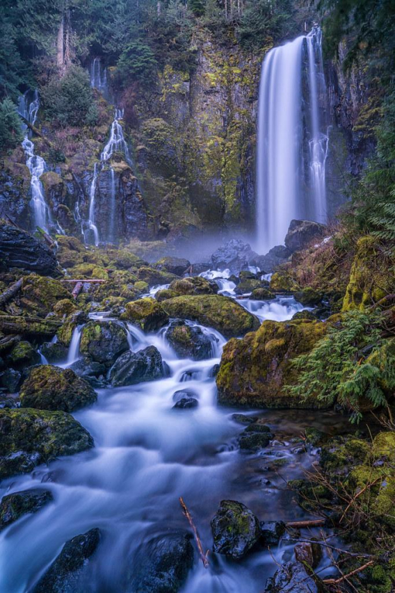 My Dog: Embracing the Unique Beauty of a Mutt