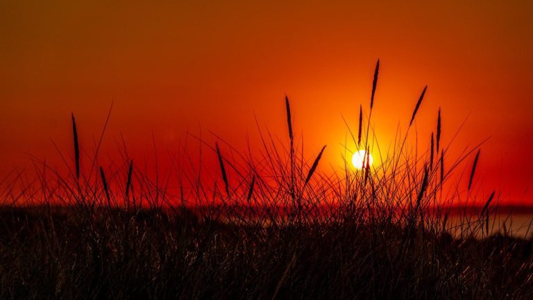 Natural Ways to Enhance Your Facial Appearance