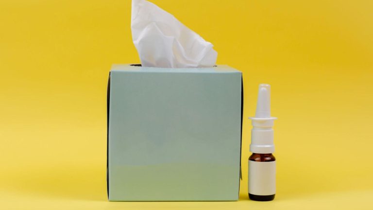 Understanding Sinusitis in Cats: Causes, Symptoms, and Treatment