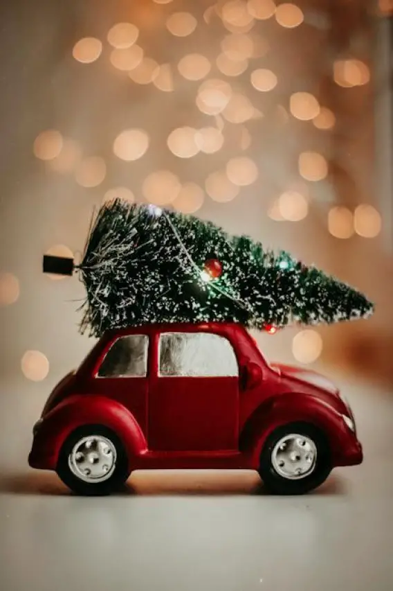Bizarre December Holidays: Discover the Weird and Wonderful