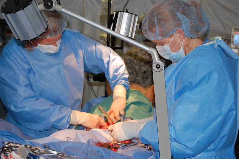 Essential Guide to Veterinary Surgical Clippers: A Professional Overview