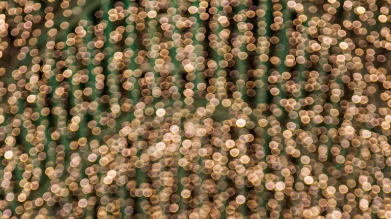 Understanding the Benefits of Bovishield Gold 5 for Livestock Health