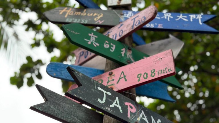 Contact Vets First Choice Pharmacy: Phone Number and Customer Service Information