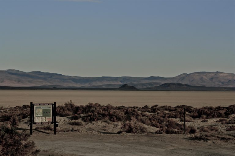 The Ultimate Guide to Quantum 9000 Series: Features and Benefits