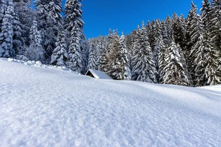 Discover the December 2024 Calendar with Holidays
