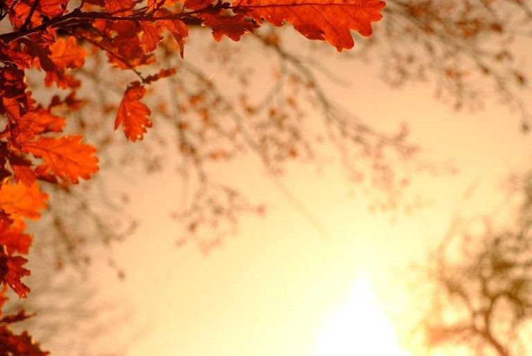 The 10th of October: Which Holiday Is It