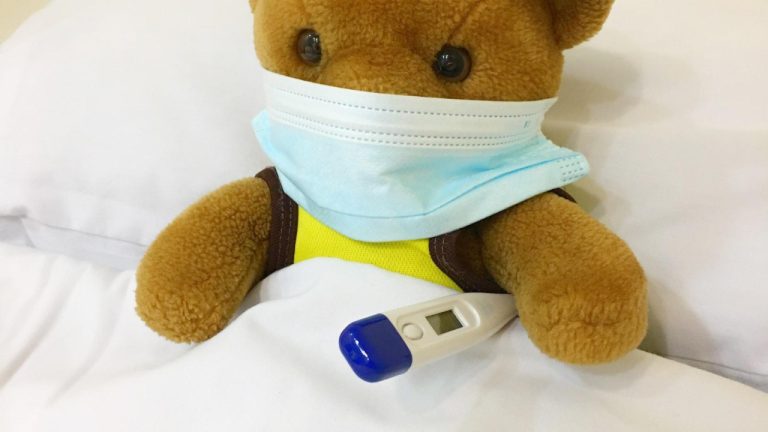 Top Veterinary Dental Machines: Essential Equipment for Animal Oral Health