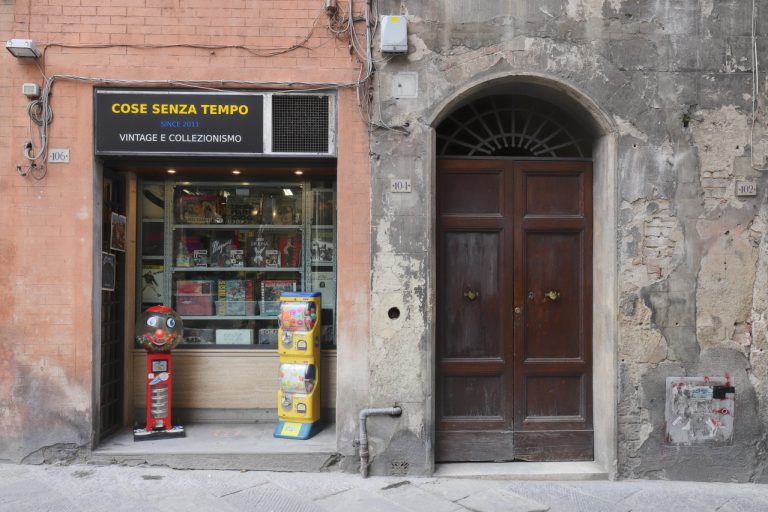 The Definition of a Sport Horse: What You Need to Know