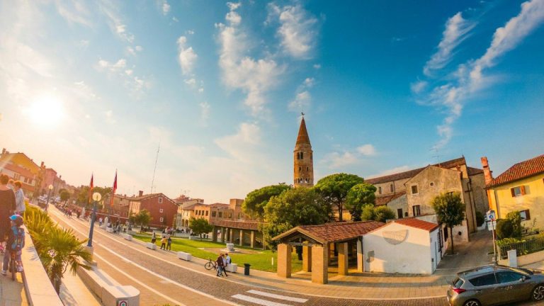 Nobivac 1-DAPPV: What You Need to Know About This Canine Vaccine