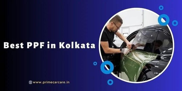 Discover Quality Care at Greystone Pet Hospital