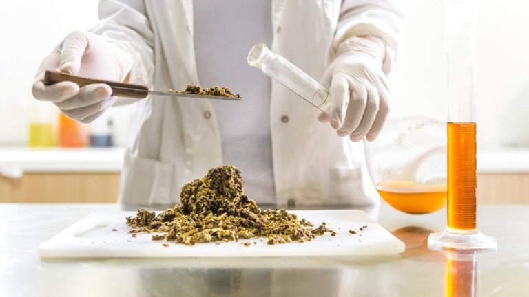 Understanding Derma-Vet Ointment: Uses and Benefits