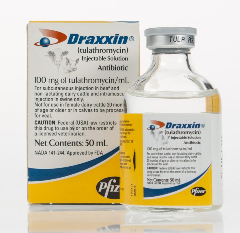 Optimizing Draxxin Dosage for Pink Eye in Cattle: A Guide