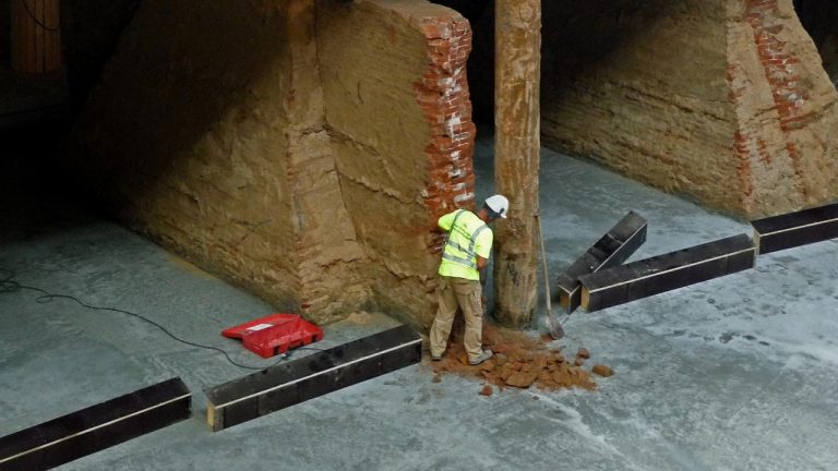 Understanding Retained Deciduous Teeth in Cats