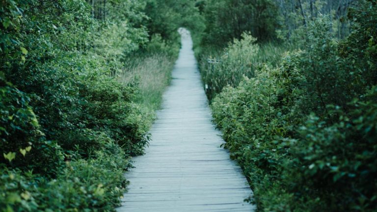 Ultimate Guide to Cerave Antiseptic Wipes: Benefits, Uses, and More