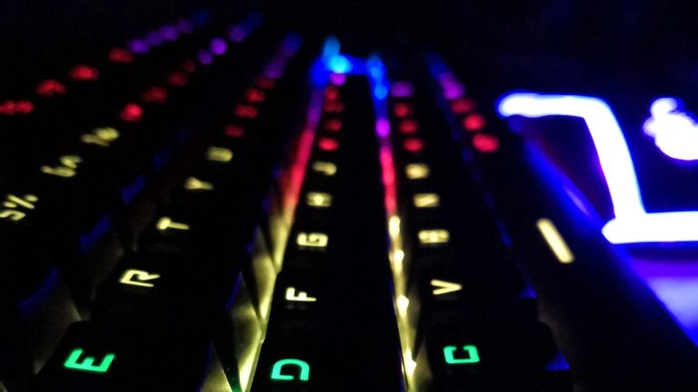 July 22 Holidays & Observances: A Guide to Celebrations