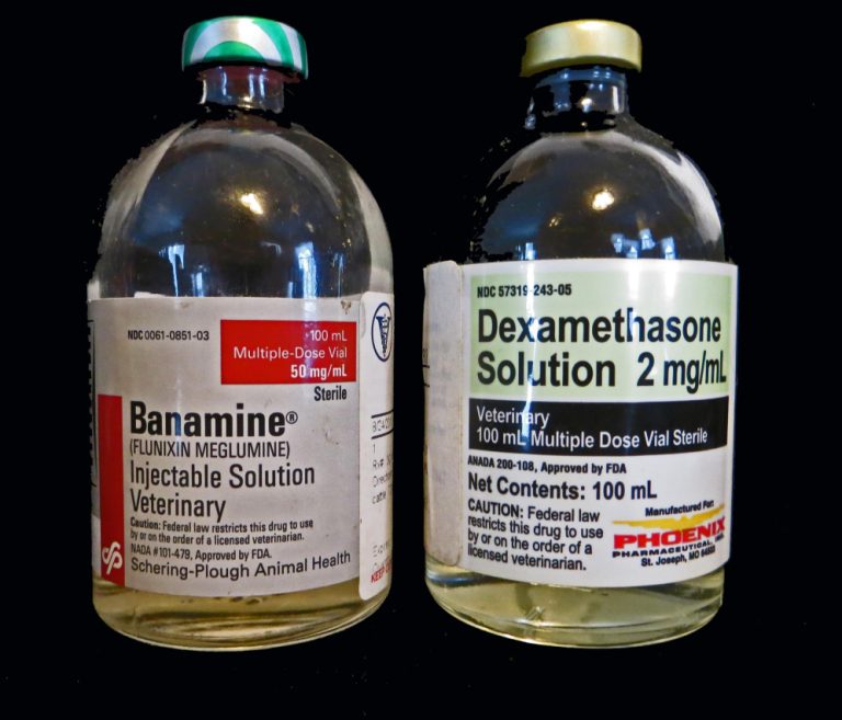 The Dangers of Banamine: Side Effects in Humans