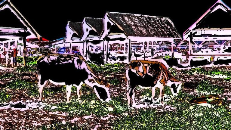 When is Pineapple Day: A Brief Guide