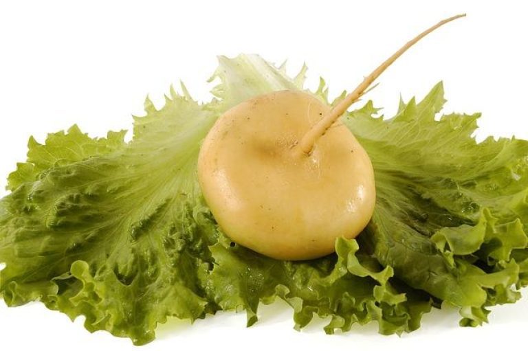 Science Diet I/D Low Fat: A Complete Review