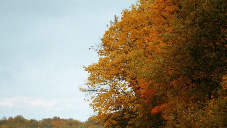 Discovering the Significance of September 7th Holiday