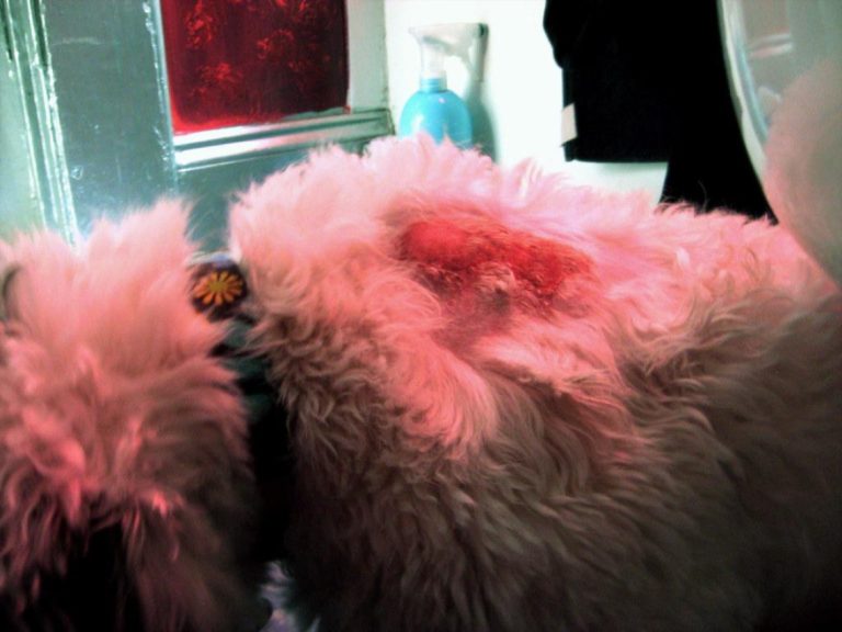 Understanding Vectra 3D Side Effects: What You Need to Know