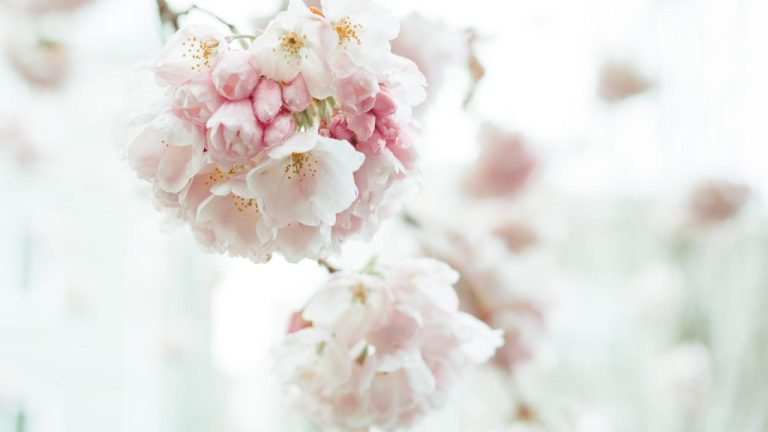 When to Send Wedding Invitations: A Comprehensive Guide