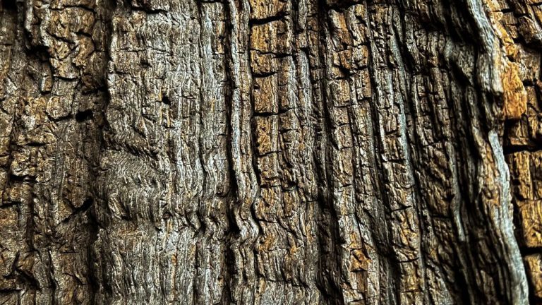 The Best Trusted Trainers Dog Treats for Happy Pups