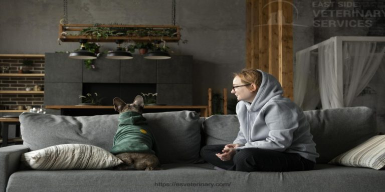 Where to Buy Bordetella Vaccine: Top Suppliers for Pet Health