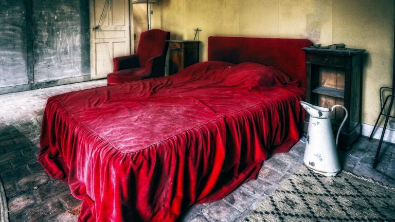 Benefits of Using Proviable Forte Paste for Your Pet’s Gut Health